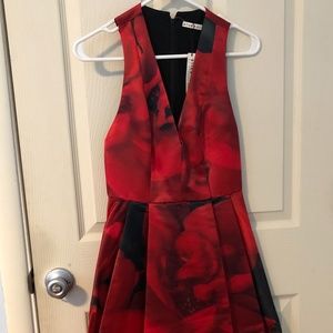 Alice + Olivia Rose Dress